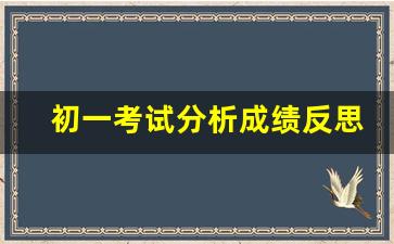 初一考试分析成绩反思