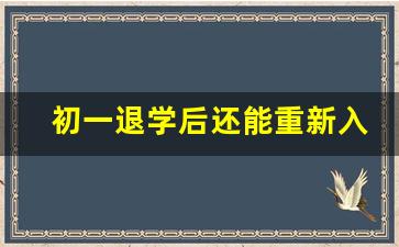 初一退学后还能重新入学吗