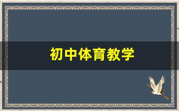 初中体育教学