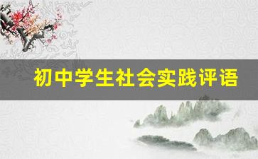 初中学生社会实践评语_中学生社会实践评语范文