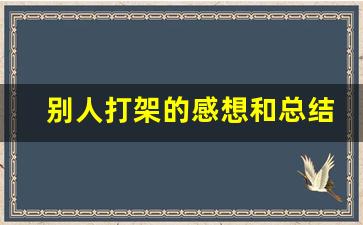 别人打架的感想和总结