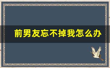 前男友忘不掉我怎么办_前男友三十年不忘我的感情