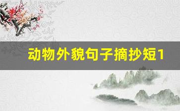 动物外貌句子摘抄短10个