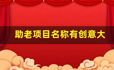 助老项目名称有创意大全_为老为小公益项目名称