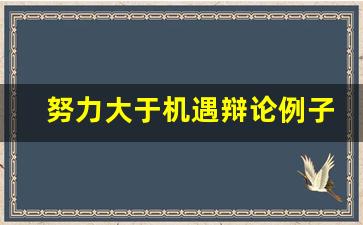 努力大于机遇辩论例子