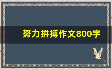 努力拼搏作文800字_努力奋斗的作文素材