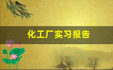 化工厂实习报告