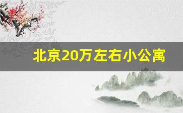 北京20万左右小公寓出售信息_北京拎包入住月租公寓