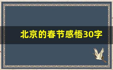 北京的春节感悟30字