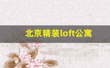 北京精装loft公寓出售_亦庄精装公寓35万