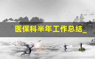 医保科半年工作总结_医保工作人员自我评价