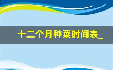 十二个月种菜时间表_北方种菜季节时间表