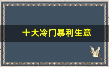 十大冷门暴利生意