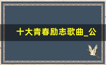 十大青春励志歌曲_公司年会正能量的歌曲