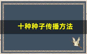 十种种子传播方法