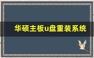 华硕主板u盘重装系统教程_华硕电脑做系统按f几