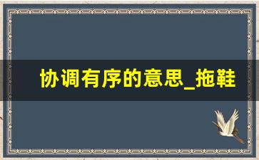 协调有序的意思_拖鞋挽裤是什么意思