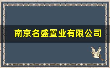 南京名盛置业有限公司