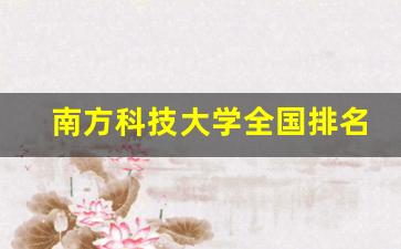 南方科技大学全国排名第几位_南科大是双一流大学吗