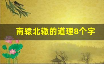 南辕北辙的道理8个字