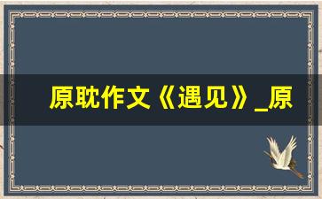 原耽作文《遇见》_原耽女孩的那些满分作文