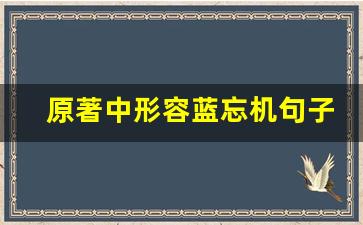 原著中形容蓝忘机句子