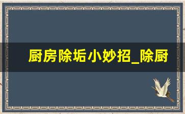 厨房除垢小妙招_除厨房油垢的最好方法