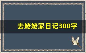 去姥姥家日记300字以上