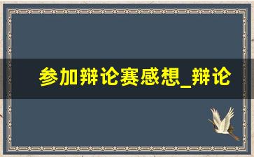 参加辩论赛感想_辩论会上的精彩发言