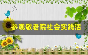 参观敬老院社会实践活动