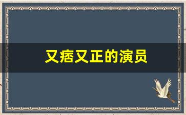 又痞又正的演员