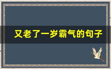 又老了一岁霸气的句子_自己生日高情商发朋友圈