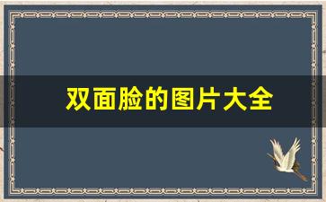 双面脸的图片大全