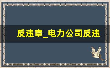 反违章_电力公司反违章工作总结