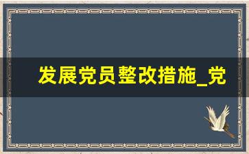 发展党员整改措施_党员干部党性分析范文