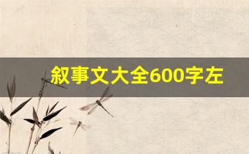 叙事文大全600字左右作文