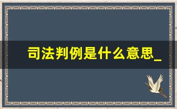 司法判例是什么意思_判例法中的判例是指