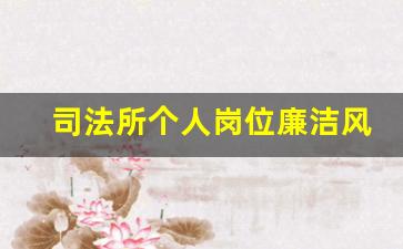 司法所个人岗位廉洁风险点_法院个人风险点及防范措施