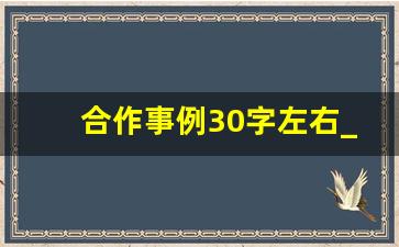 合作事例30字左右_合作成功的名人例子简短50字