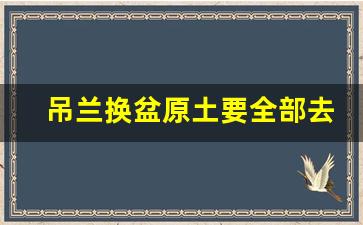 吊兰换盆原土要全部去掉吗