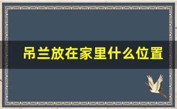 吊兰放在家里什么位置最好_扔掉家里的绿萝后运气好了