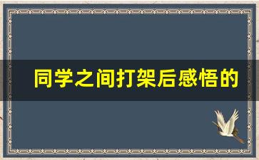 同学之间打架后感悟的作文100