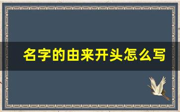 名字的由来开头怎么写_名字的故事开头怎么写