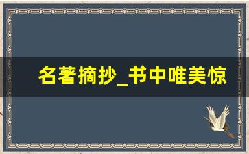 名著摘抄_书中唯美惊艳的句子摘抄