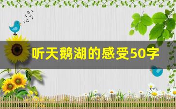 听天鹅湖的感受50字