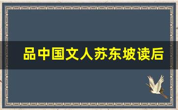 品中国文人苏东坡读后感