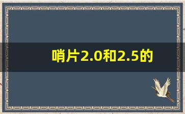 哨片2.0和2.5的区别