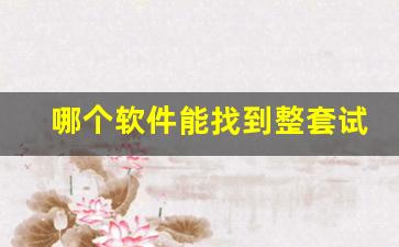 哪个软件能找到整套试卷内容_2024衡水金卷先享卷答案免费查询