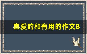 喜爱的和有用的作文800字