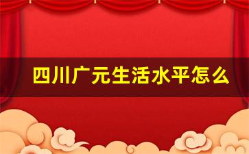 四川广元生活水平怎么样